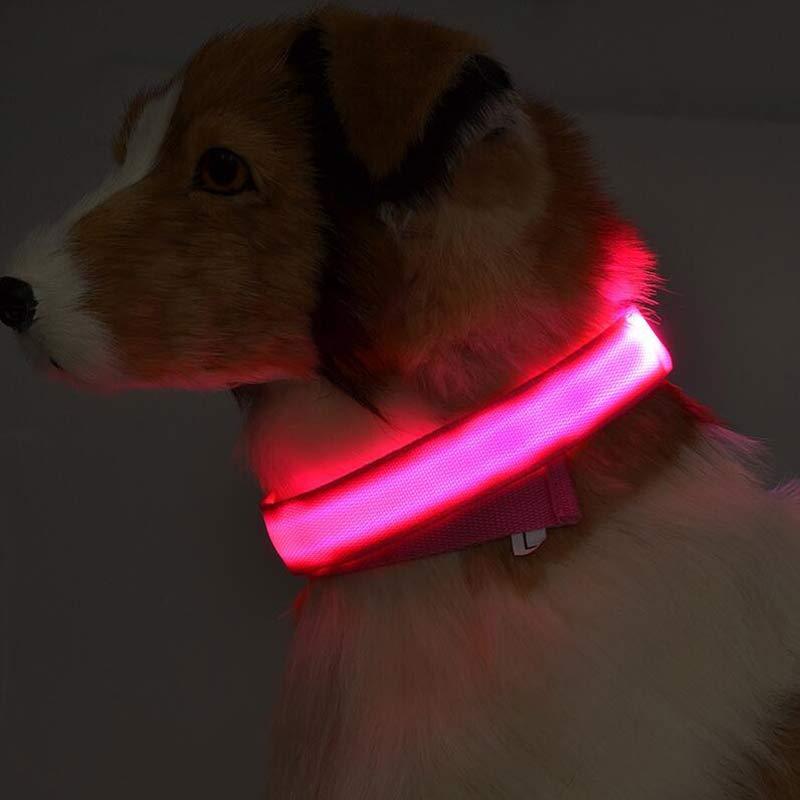 LED Nylon Pet Collar