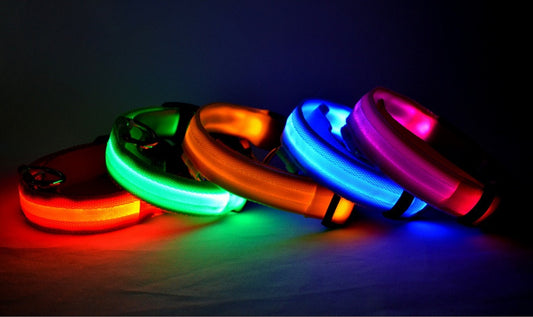 LED Nylon Pet Collar