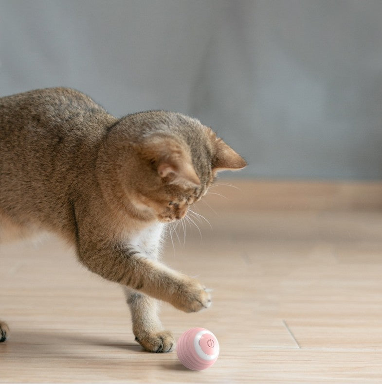 Smart Bouncing Ball