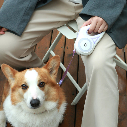 Retractable colorful leash