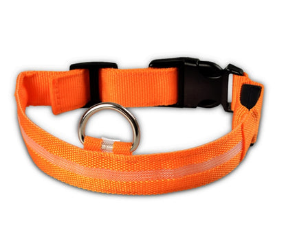 LED Nylon Pet Collar